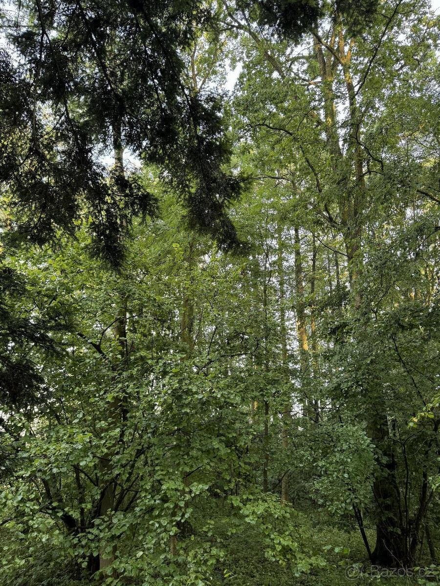 Prodám pozemky v k.ú. Bohuslavice nad Metují