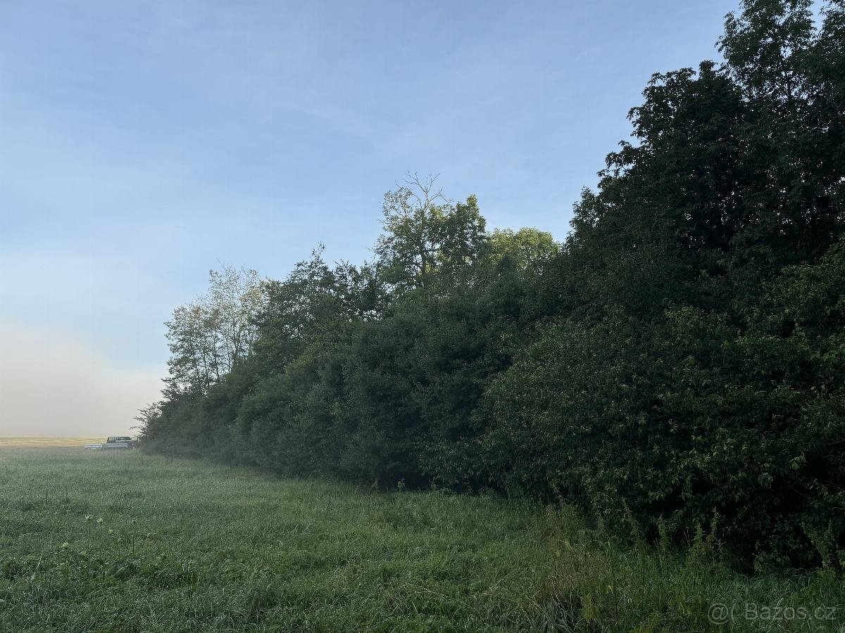 Prodám pozemky v k.ú. Bohuslavice nad Metují