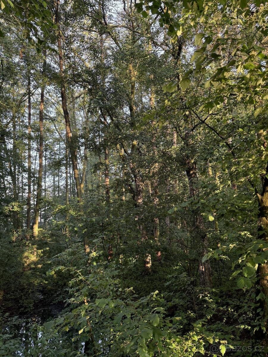 Prodám pozemky v k.ú. Bohuslavice nad Metují