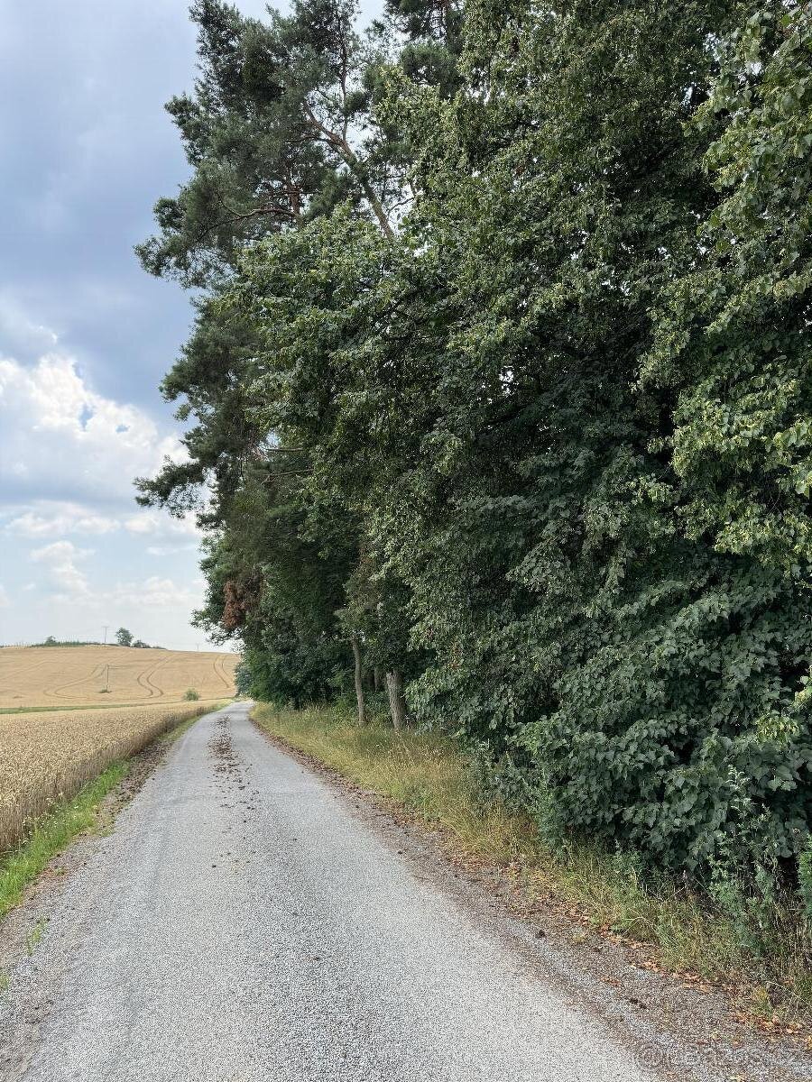 Prodám pozemky v k.ú. Kojice