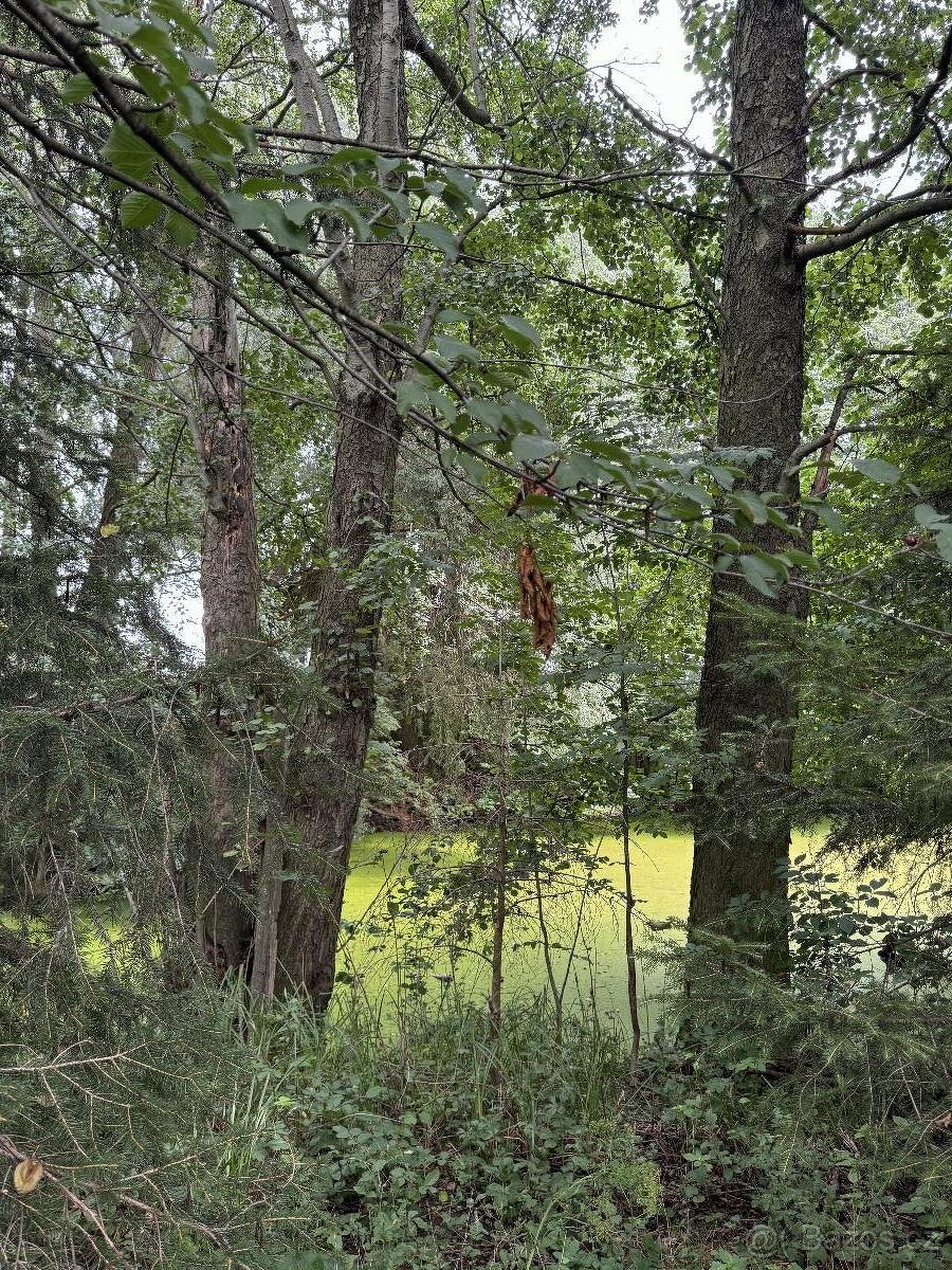 Prodám pozemky v k.ú. Kojice