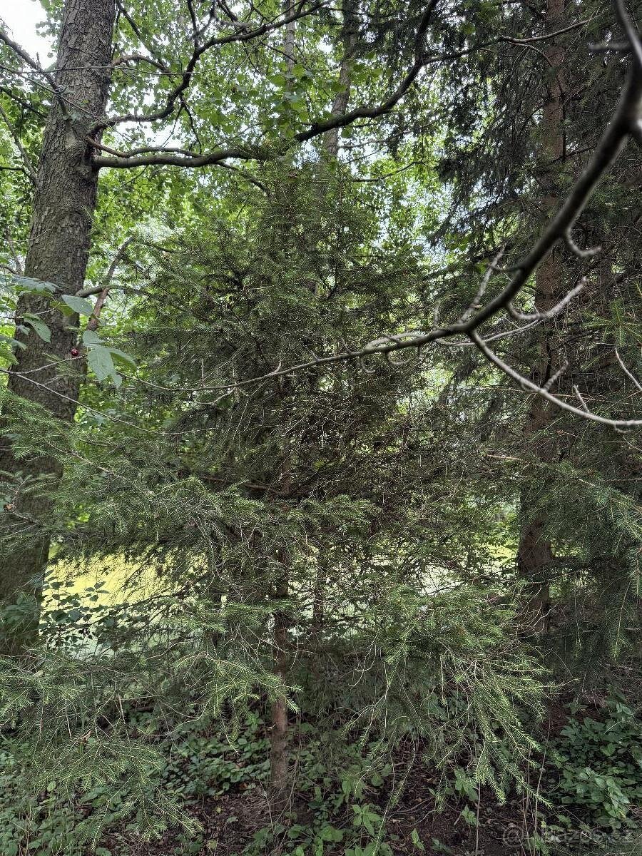 Prodám pozemky v k.ú. Kojice