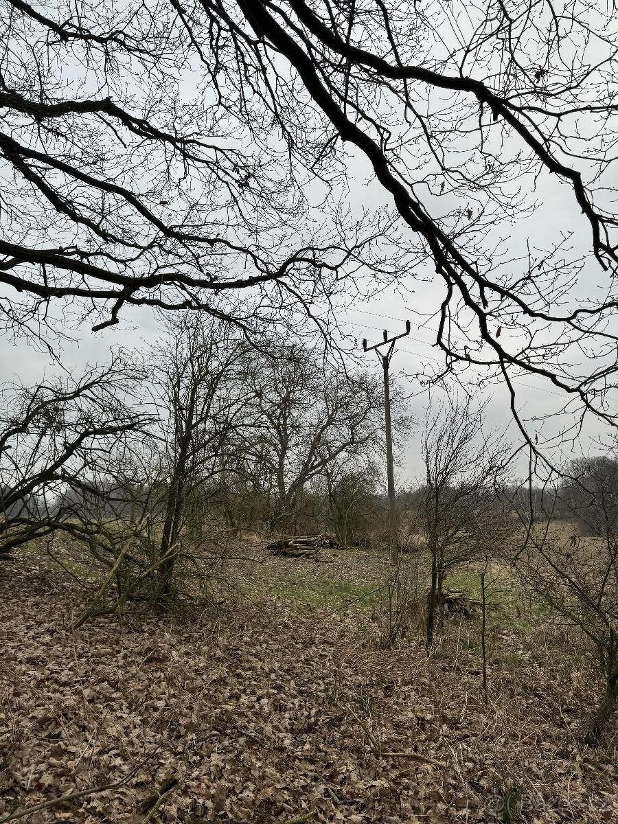 Prodám lesní pozemek v k.ú. Žďár v Podbezdězí