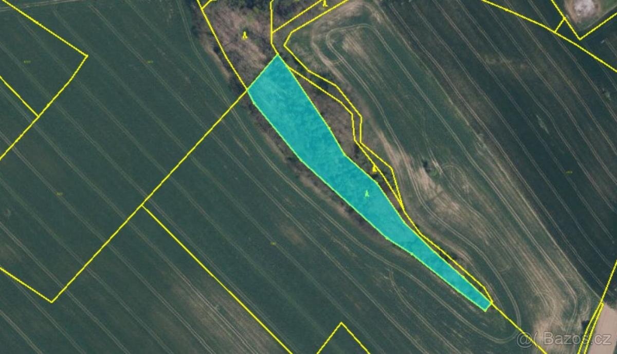 Prodám lesní pozemek v k.ú. Žďár v Podbezdězí