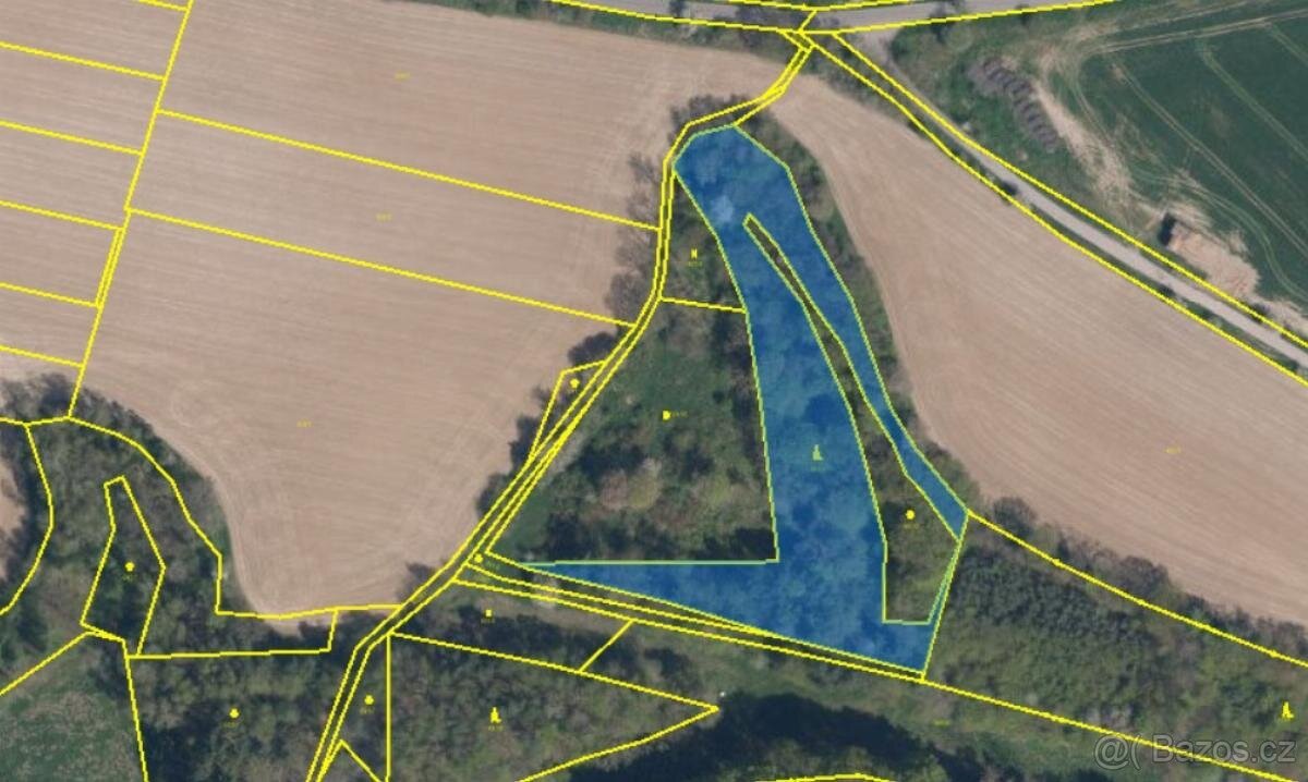 Prodám lesní pozemek v k.ú. Luka