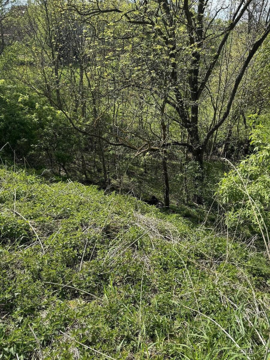 Prodáme pozemky v k.ú. Okrašovice