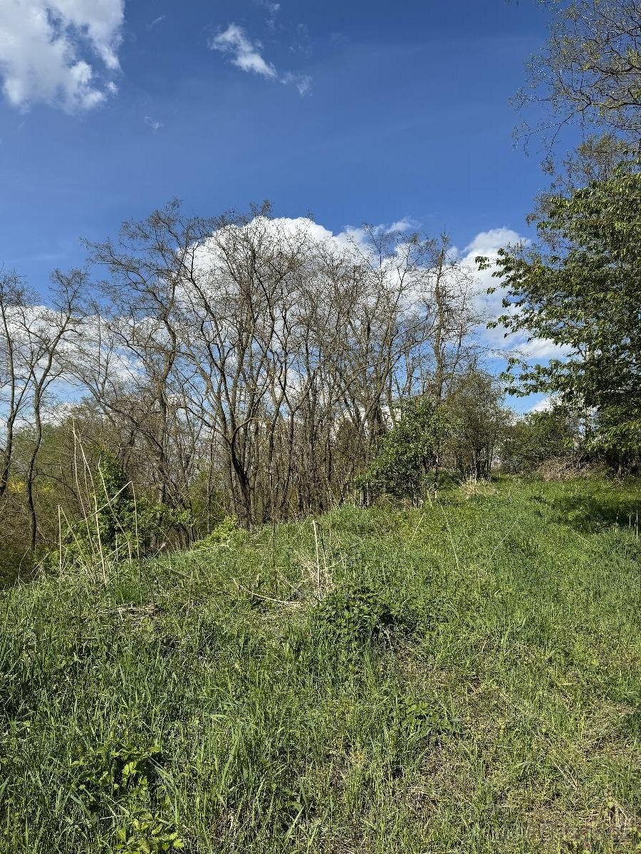 Prodáme pozemky v k.ú. Okrašovice