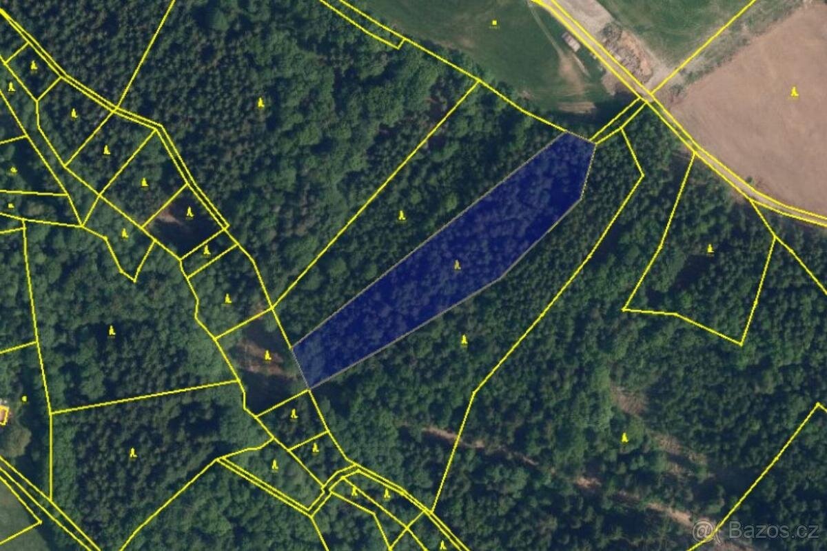 Prodám lesní pozemek v k.ú. Sněhov