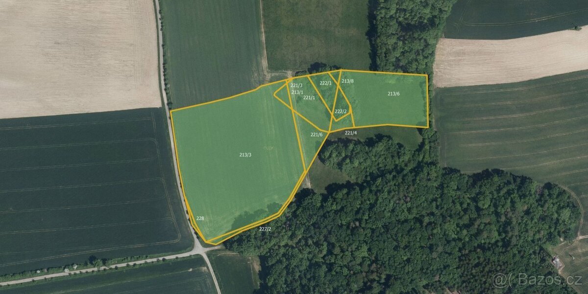 Zemědělská půda, prodej, Očelice, Rychnov nad Kněžnou