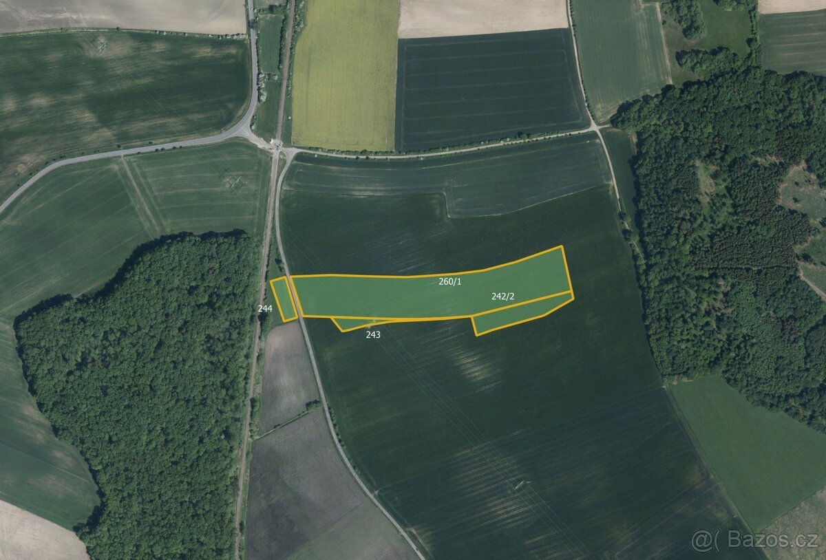 Zemědělská půda, prodej, Očelice, Rychnov nad Kněžnou