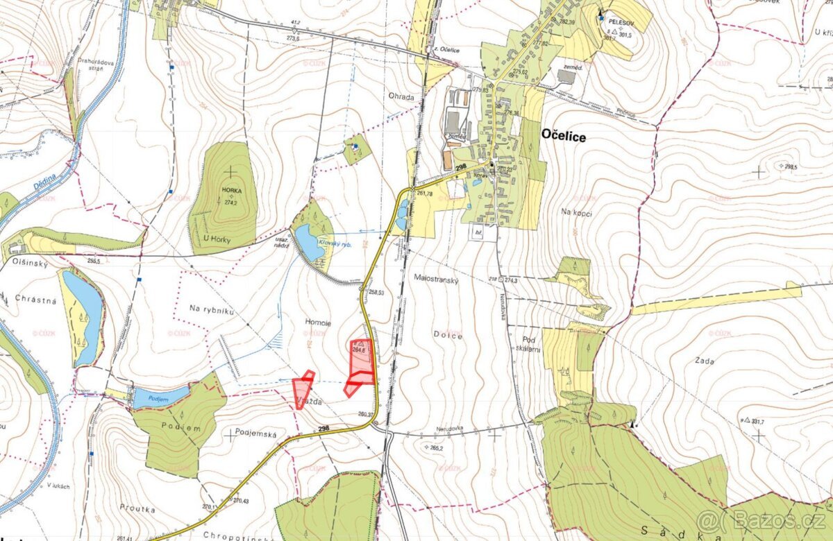 Zemědělská půda, prodej, Očelice, Rychnov nad Kněžnou