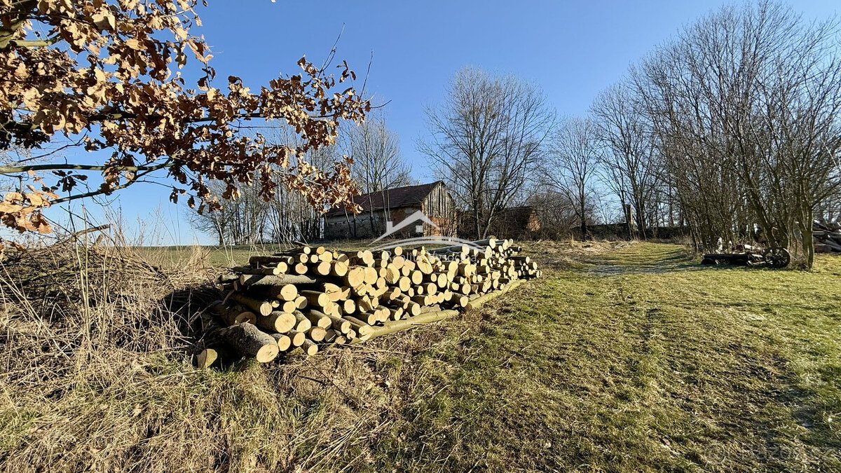 Prodej velkého pozemeku 11 975m2 Zhoř u Vilémova