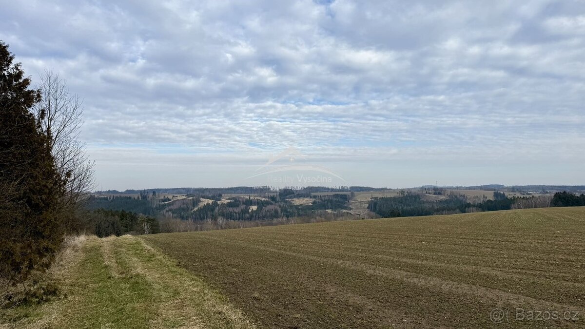 Prodej velkého pozemeku 11 975m2 Zhoř u Vilémova