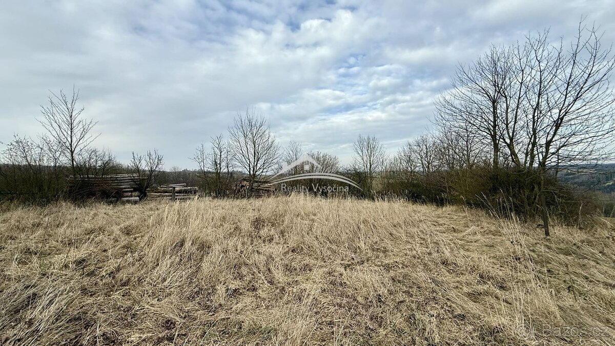 Prodej velkého pozemeku 11 975m2 Zhoř u Vilémova