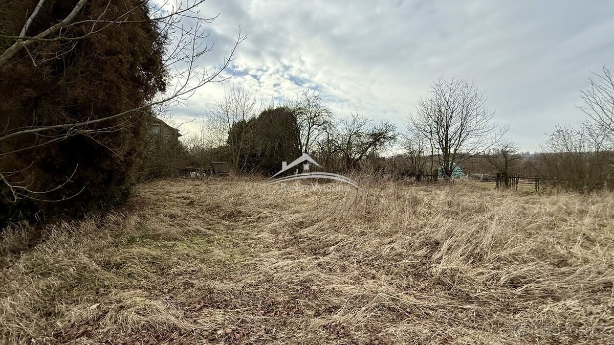 Prodej velkého pozemeku 11 975m2 Zhoř u Vilémova