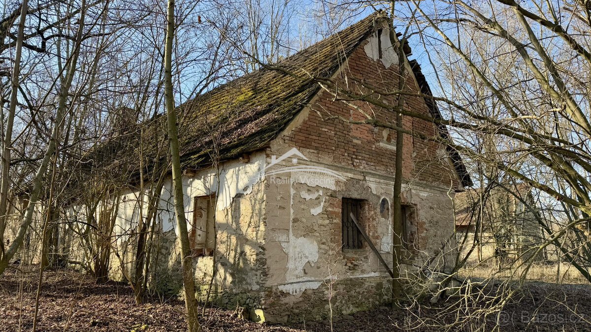 Prodej velkého pozemeku 11 975m2 Zhoř u Vilémova