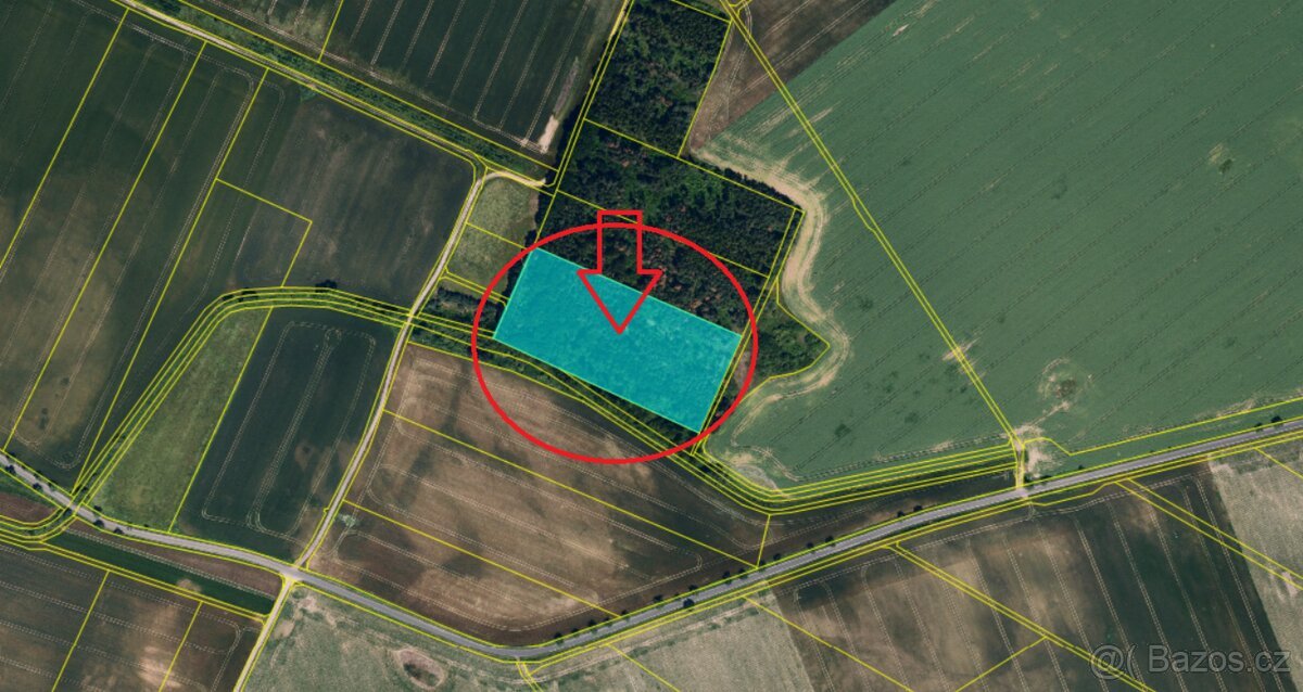 Prodej lesního pozemku k.ú. Štítary na Moravě