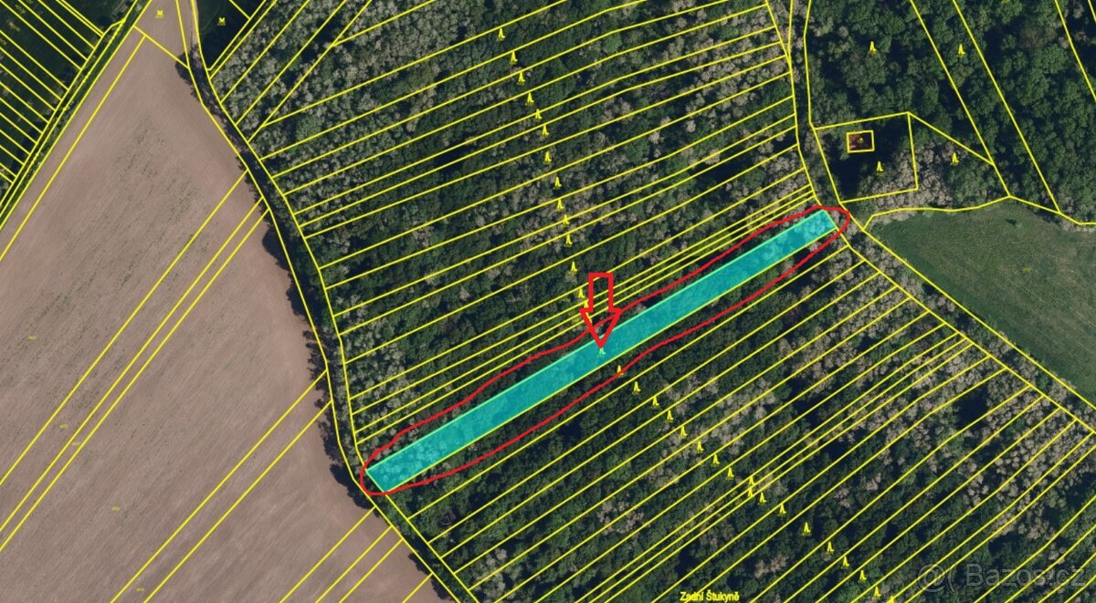 Prodej lesního pozemku k.ú. Nikolčice (2)