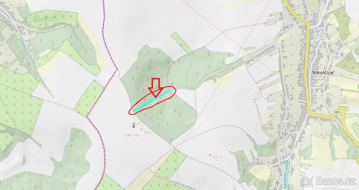 Prodej lesního pozemku k.ú. Nikolčice (2)