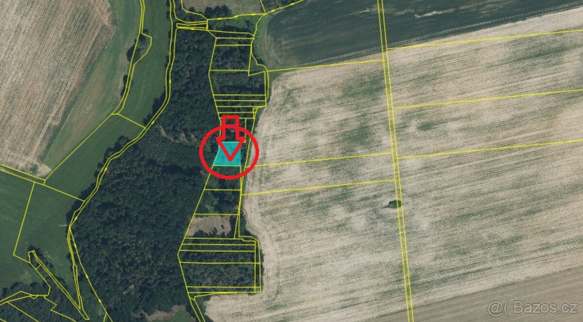 Prodám lesní pozemky k.ú. Puclice