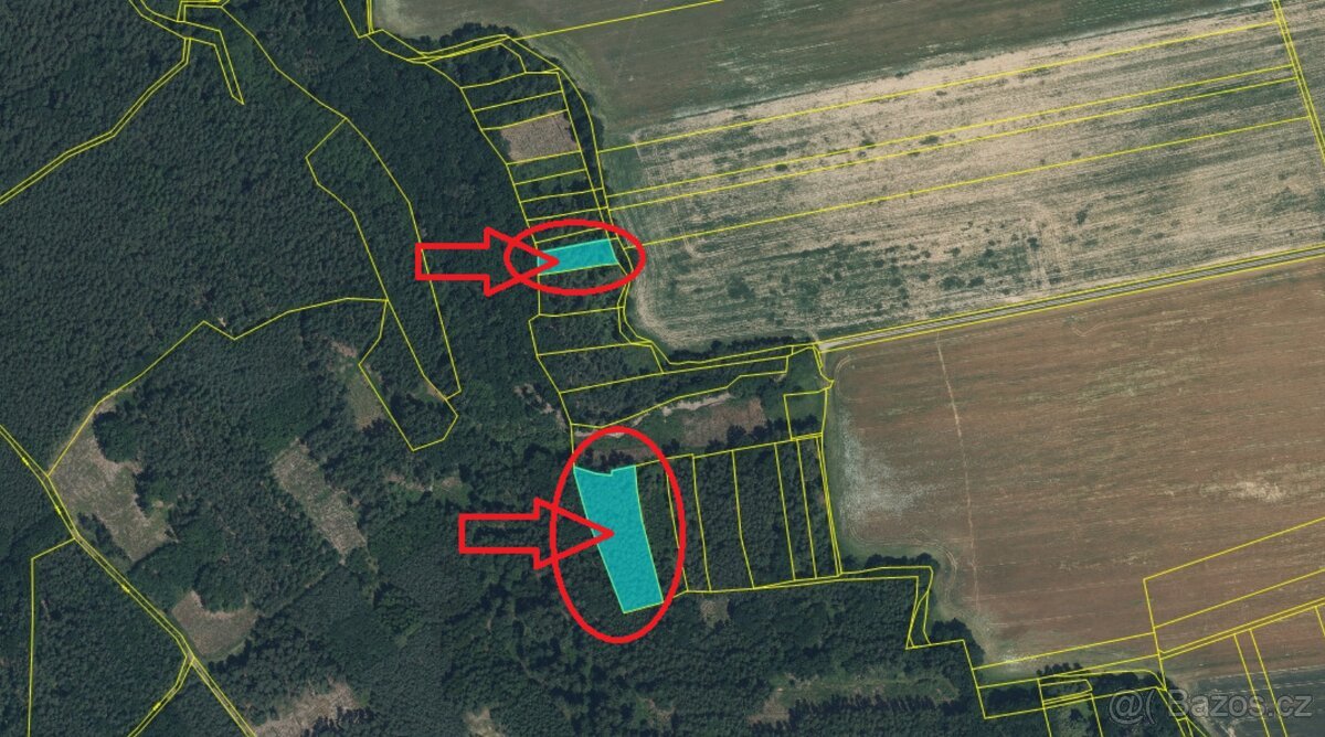 Prodám lesní pozemky k.ú. Puclice