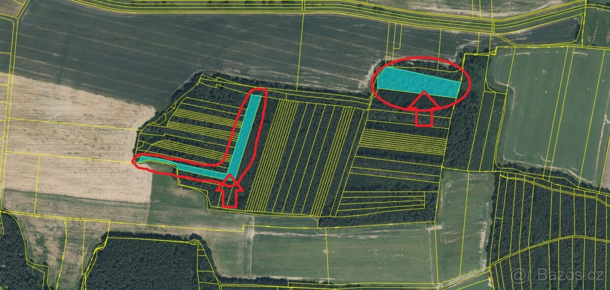 Prodám lesní pozemky k.ú. Puclice