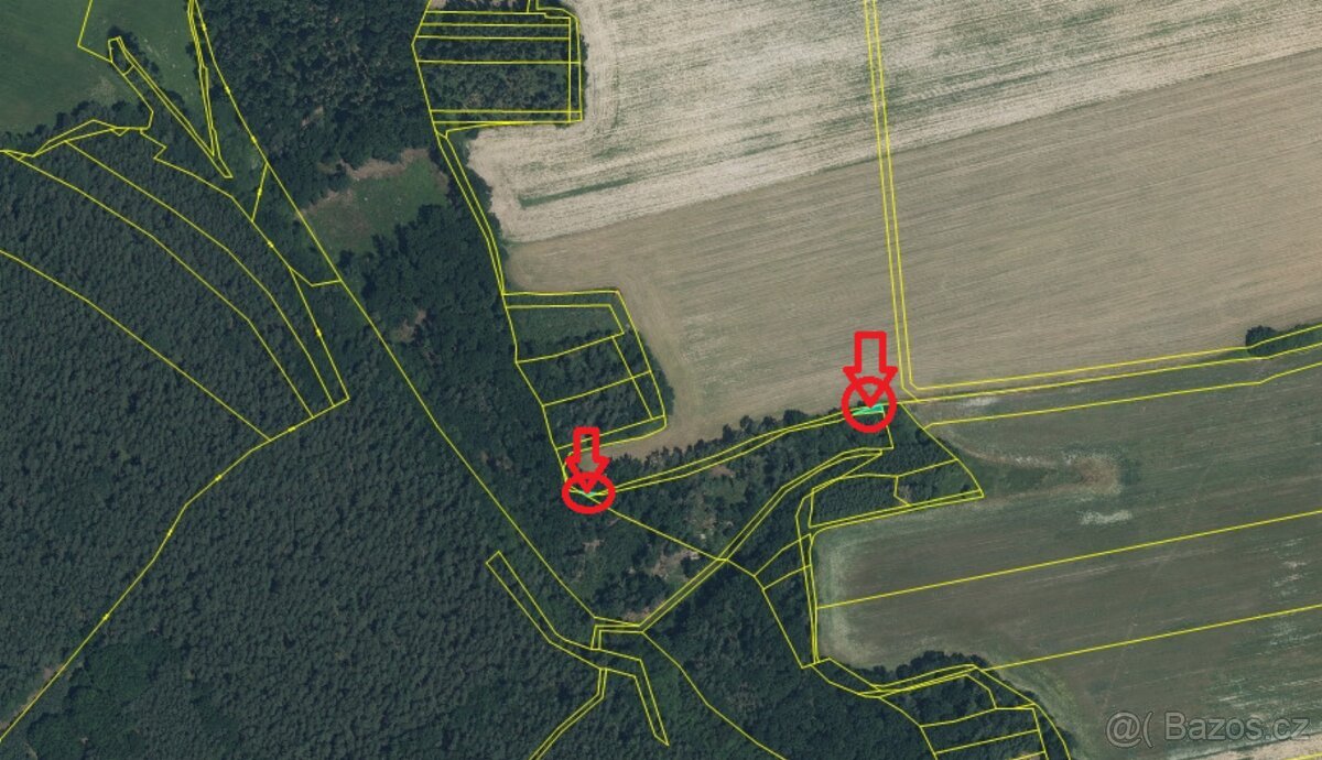 Prodám lesní pozemky k.ú. Puclice