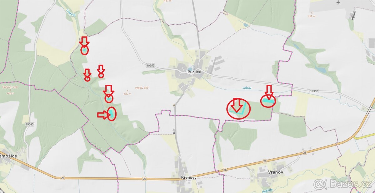 Prodám lesní pozemky k.ú. Puclice