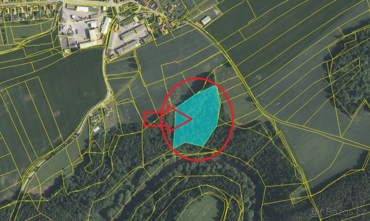 Prodej lesního pozemku k.ú. Přísečná