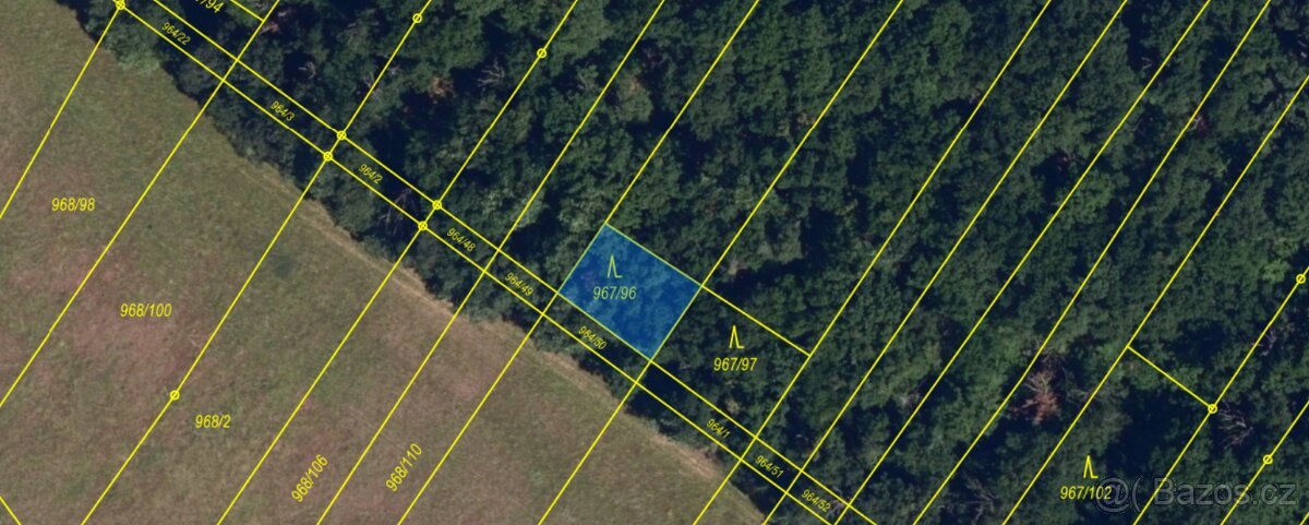 Lesní pozemek Silůvky 3/4 podíl