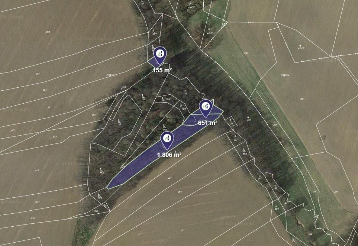 Prodej lesa v k.ú. Ždánice u Vilémova