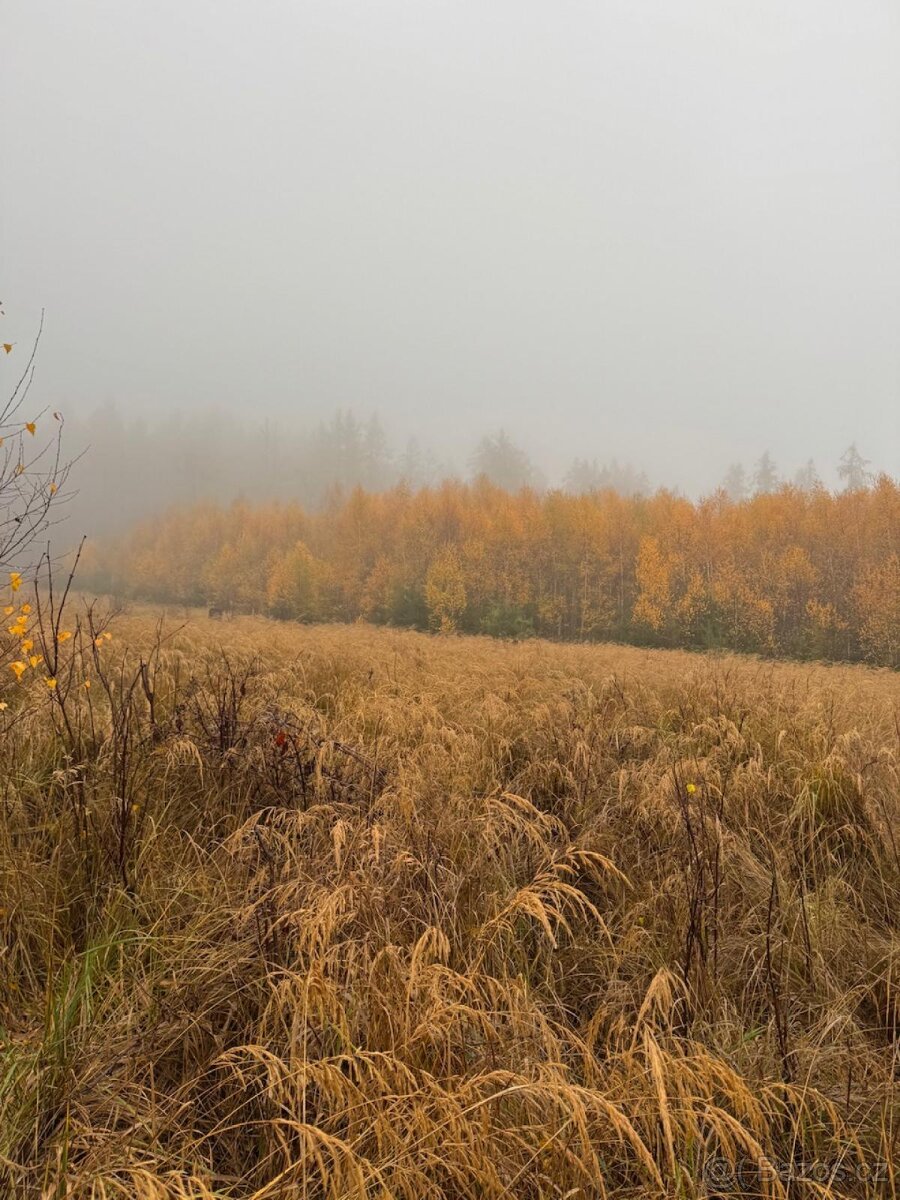 Prodej lesních pozemků k.ú. Úboč