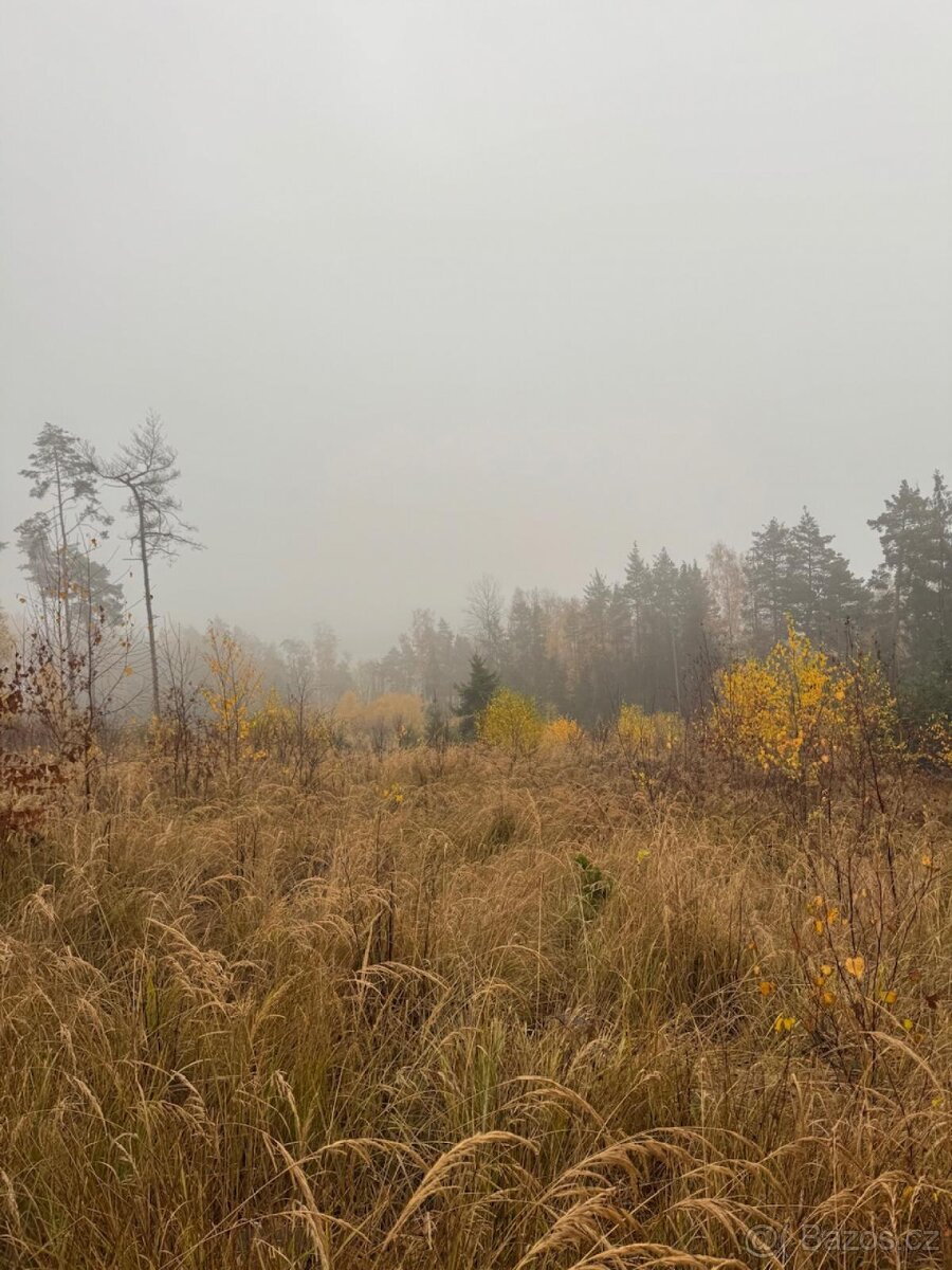 Prodej lesních pozemků k.ú. Úboč