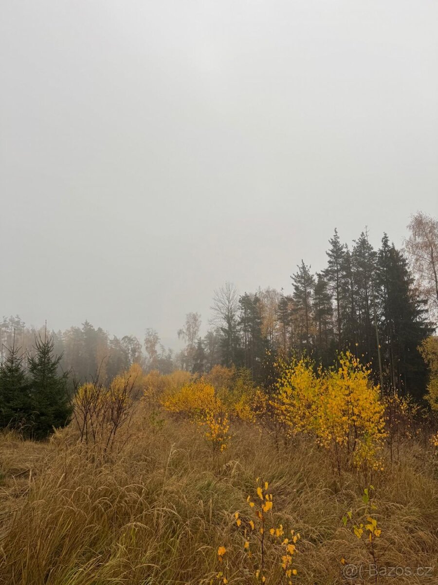 Prodej lesních pozemků k.ú. Úboč