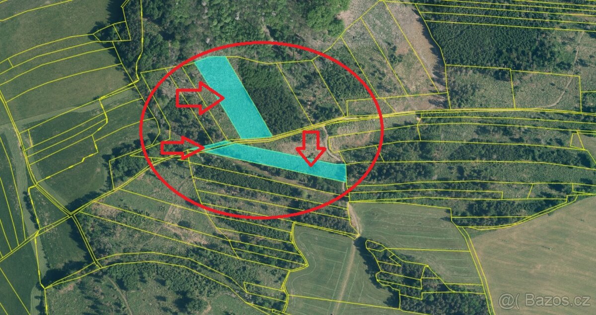 Prodej lesních pozemků k.ú. Úboč