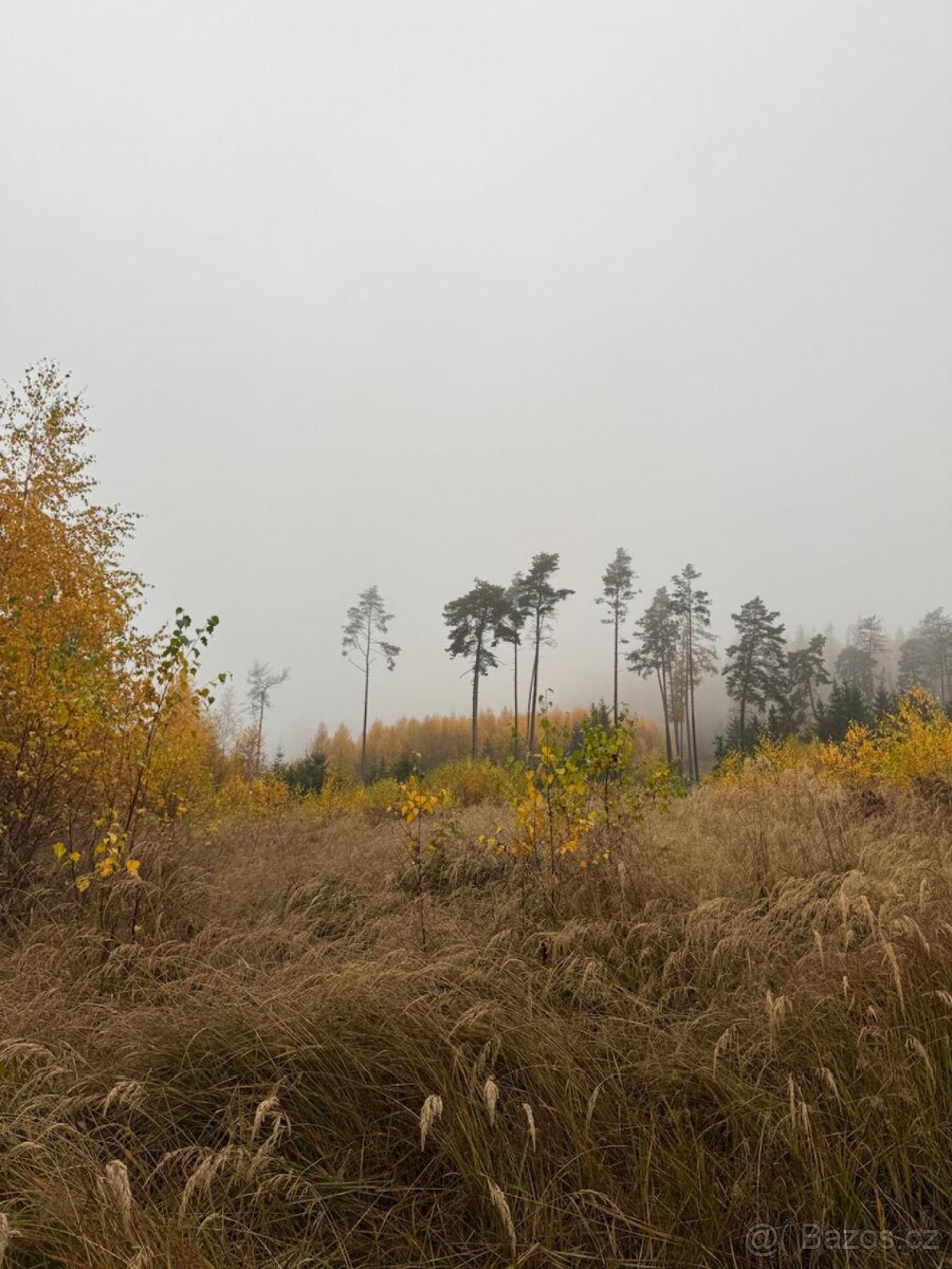 Prodej lesních pozemků k.ú. Úboč