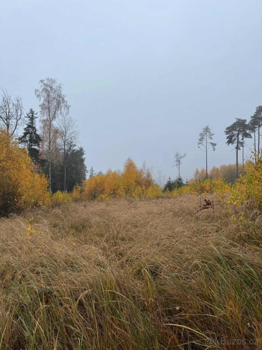 Prodej lesních pozemků k.ú. Úboč