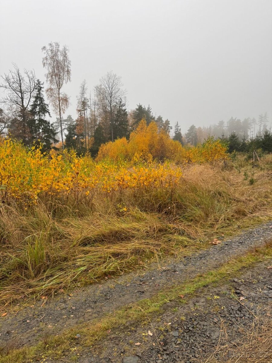 Prodej lesních pozemků k.ú. Úboč
