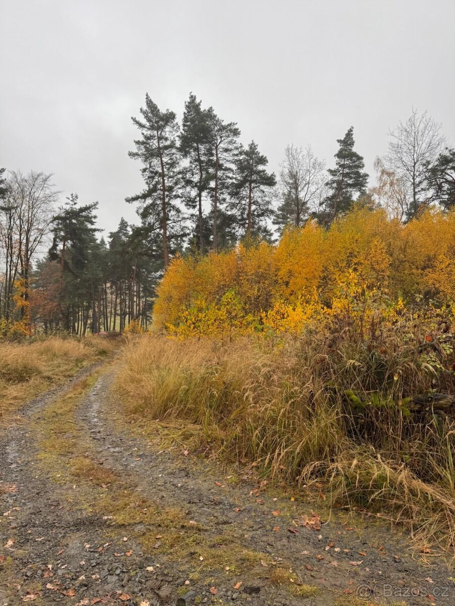 Prodej lesních pozemků k.ú. Úboč