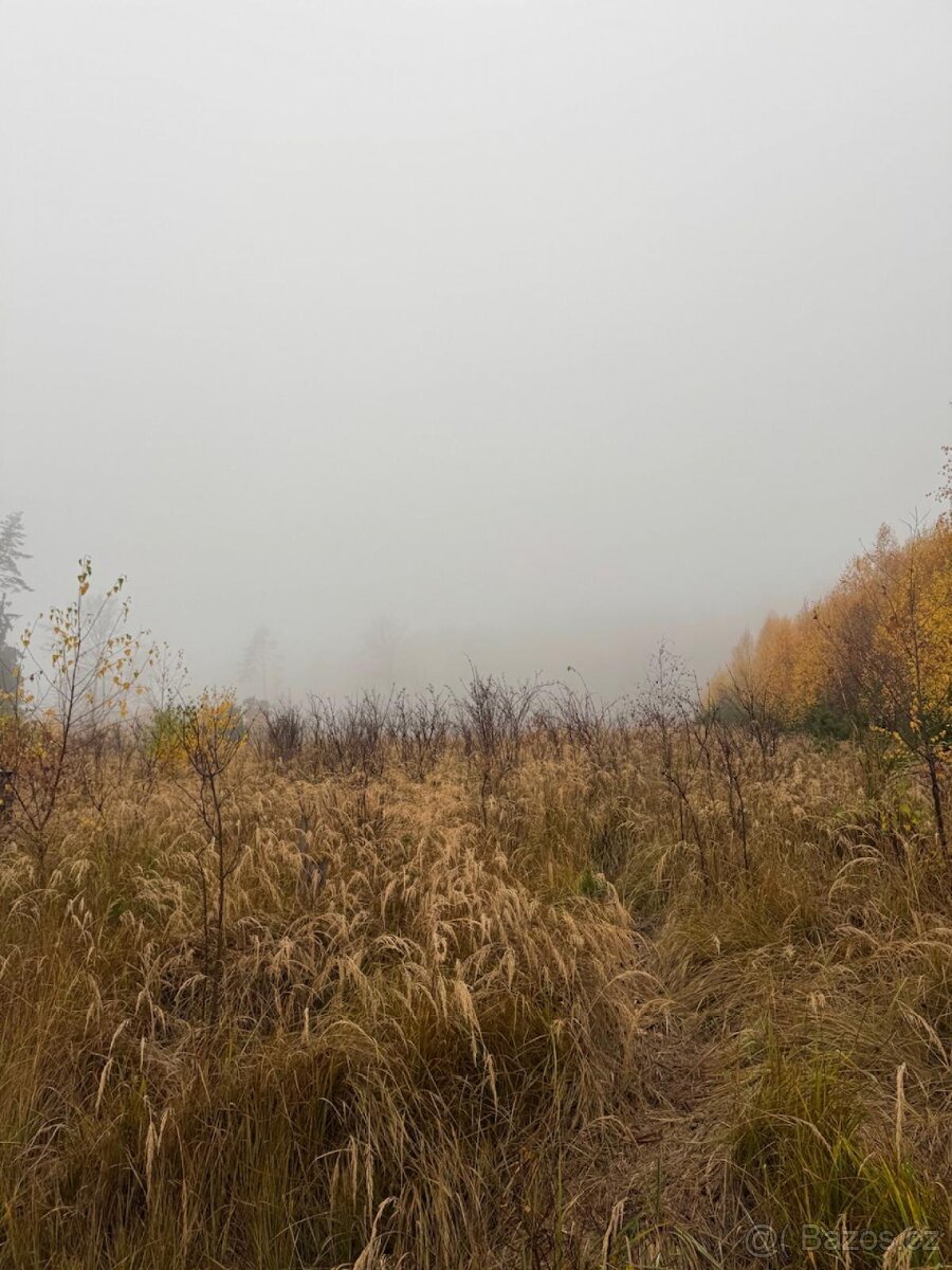 Prodej lesních pozemků k.ú. Úboč