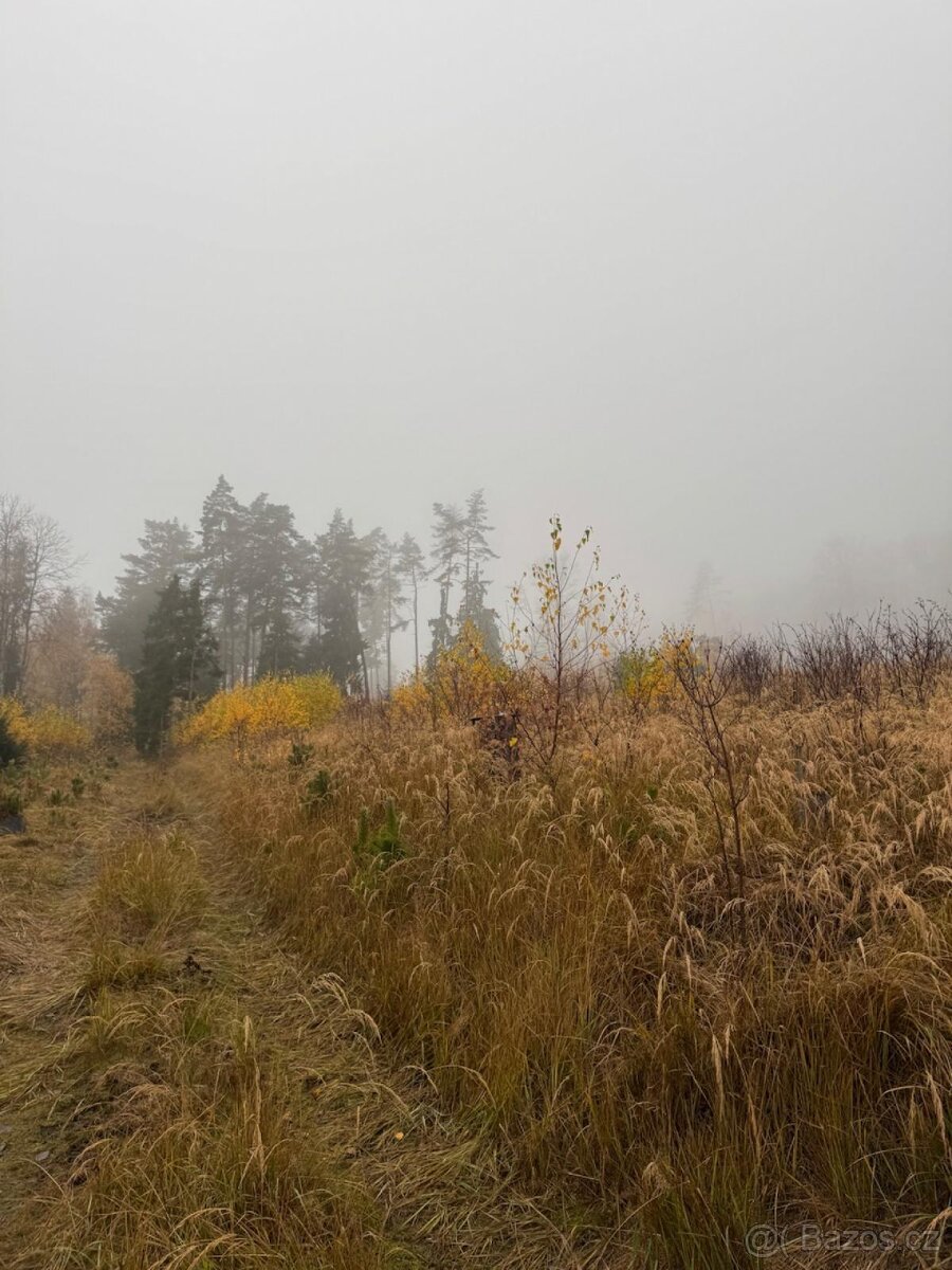 Prodej lesních pozemků k.ú. Úboč