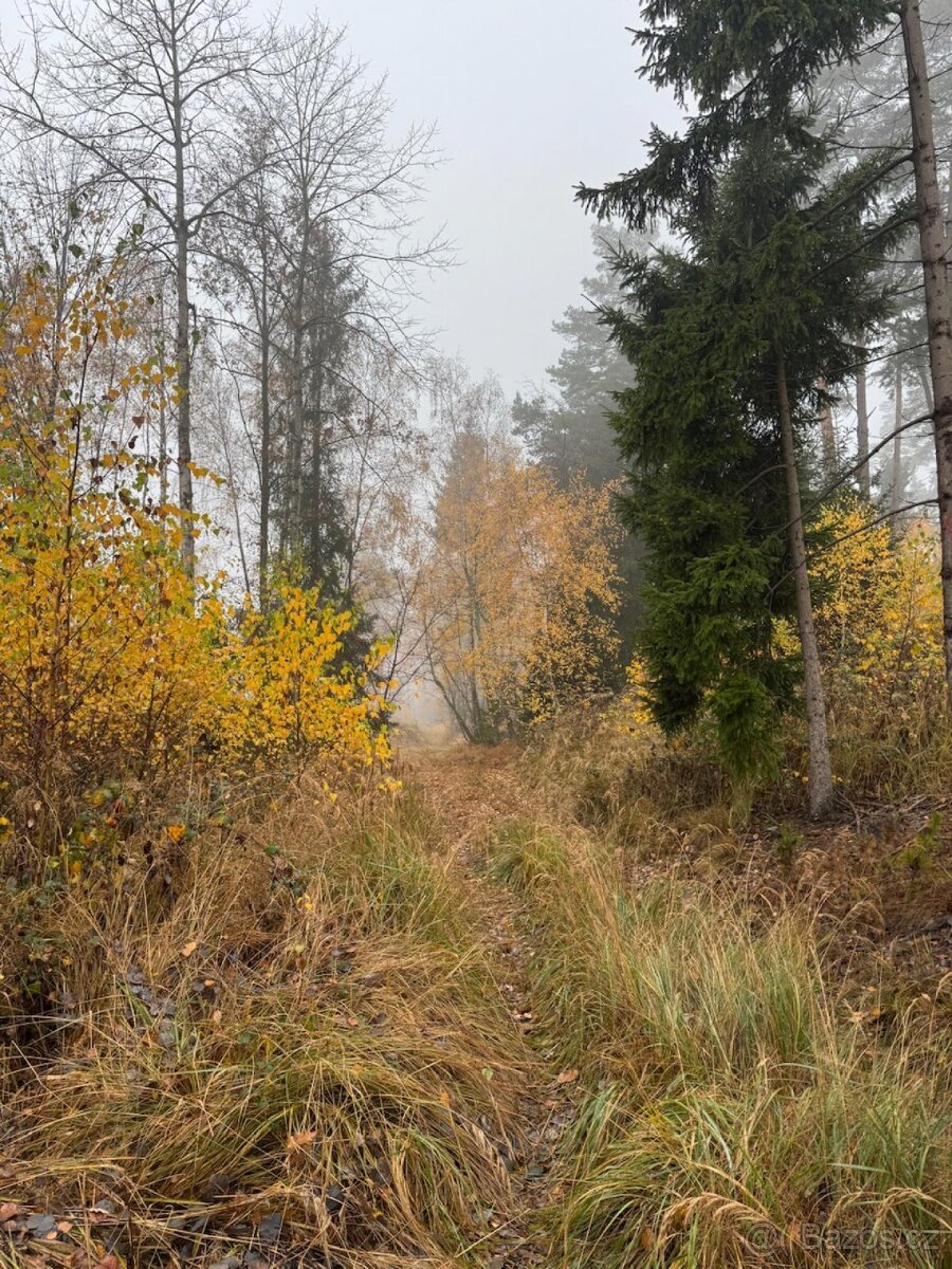 Prodej lesních pozemků k.ú. Úboč