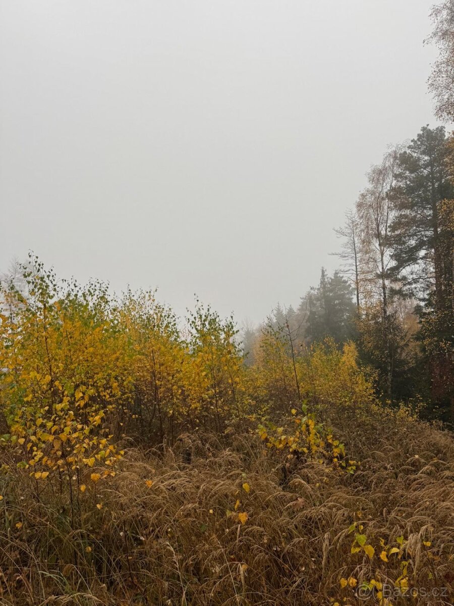 Prodej lesních pozemků k.ú. Úboč