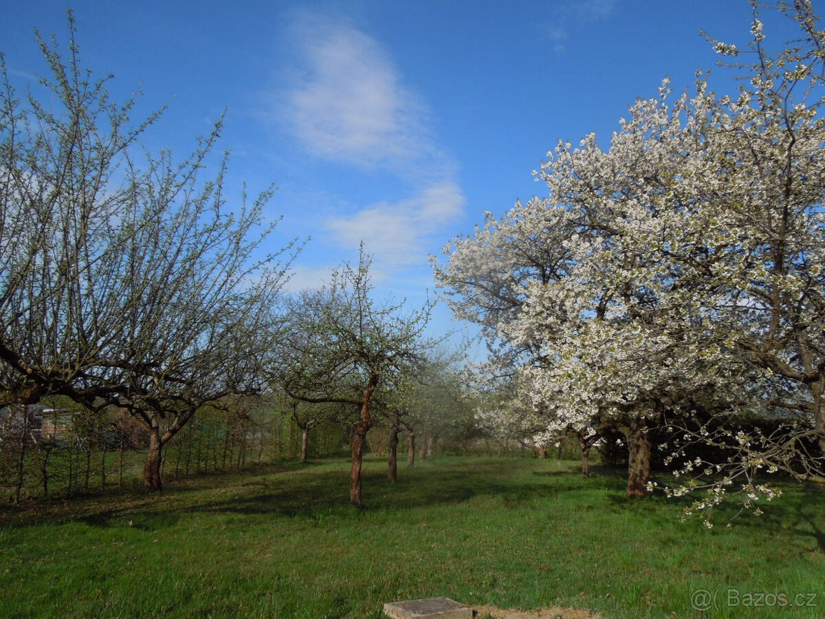 Pozemek pro stavbu RD,Červený Kostelec-Stolín,781m2