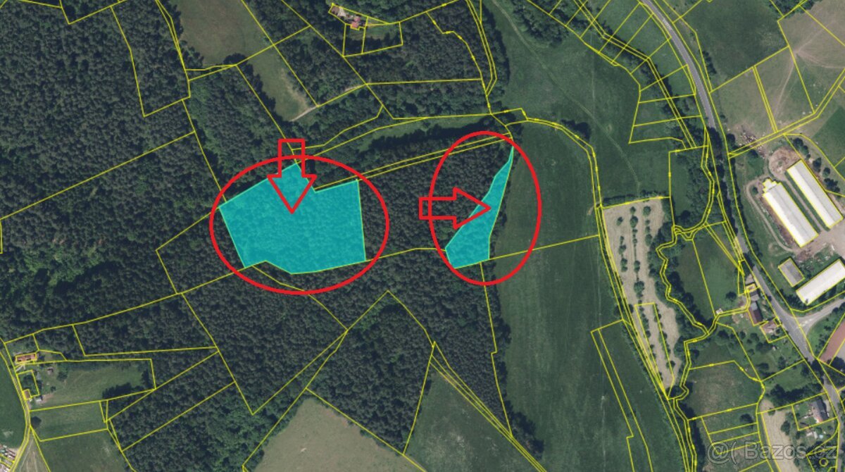 Prodej lesních pozemků k.ú. Starý Dub