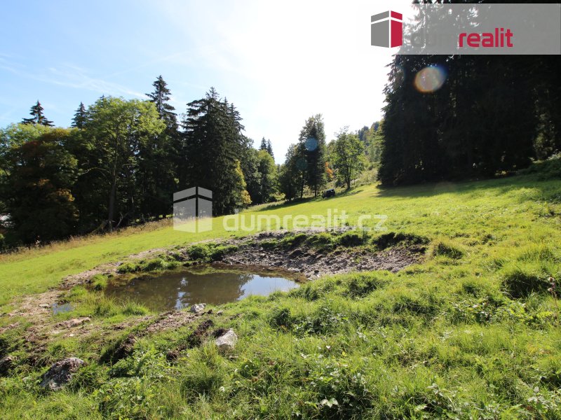 pozemek k výstavbě, 4233 m2, Pstruží, okr. Karlovy Vary