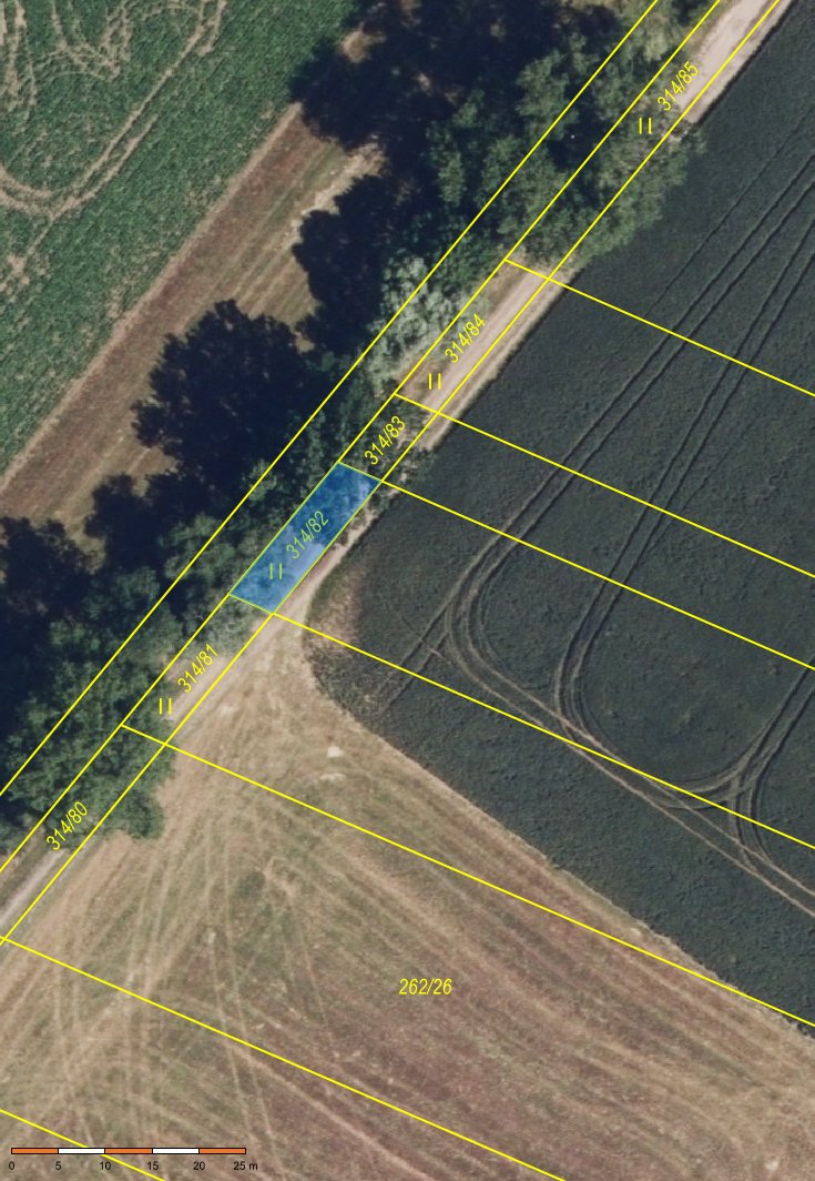 Pole Bohuňovice u Olomouce