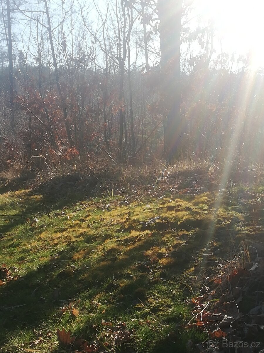 Menší pozemek - zahrada