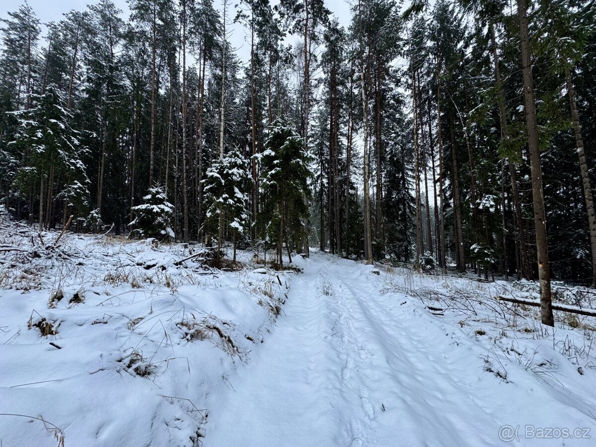 Prodej, pozemek, 6 747 m,  68, Žirovnice - Štítné, Česko