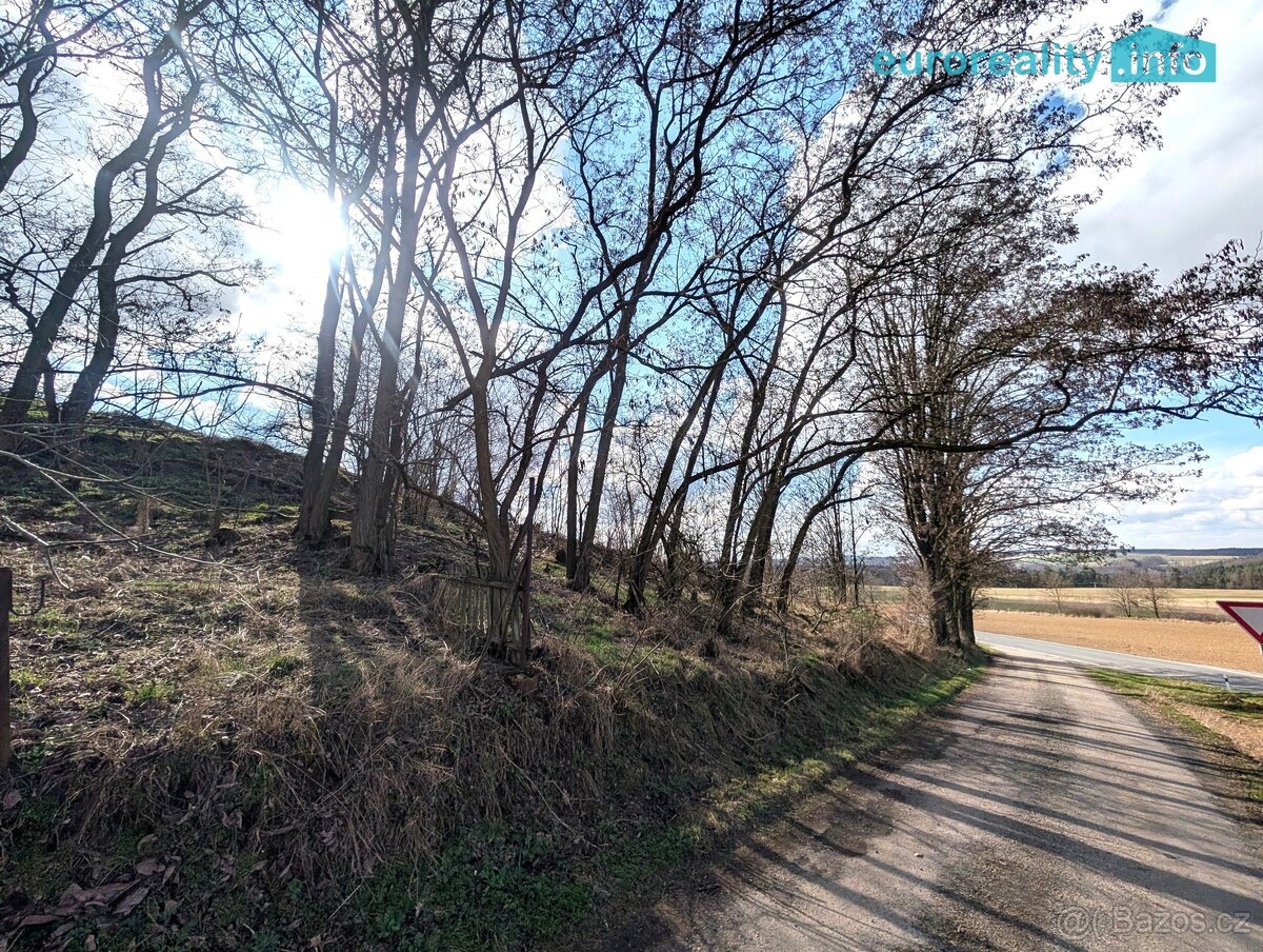 Prodej, stavební pozemek, 898 m2, Bušovice, Rokycansko